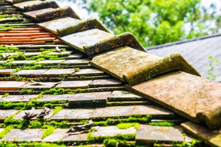 Pourquoi le d&eacute;moussage de votre toiture &agrave; La Farl&egrave;de est-il essentiel ?